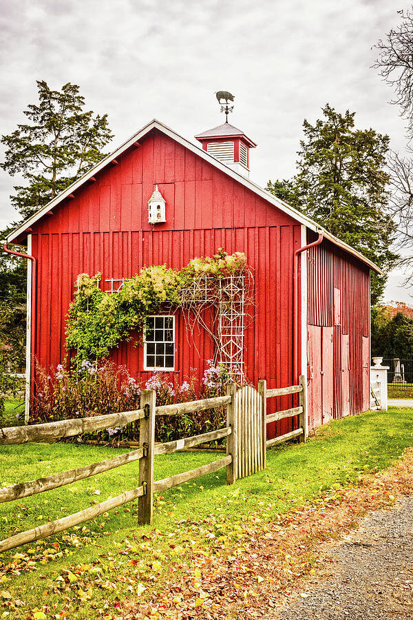 Small Farm Business Consultant