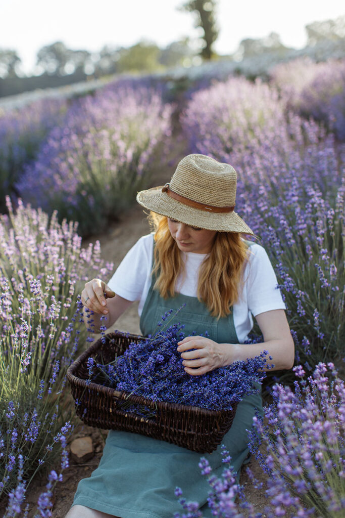 Agritourism Consultant