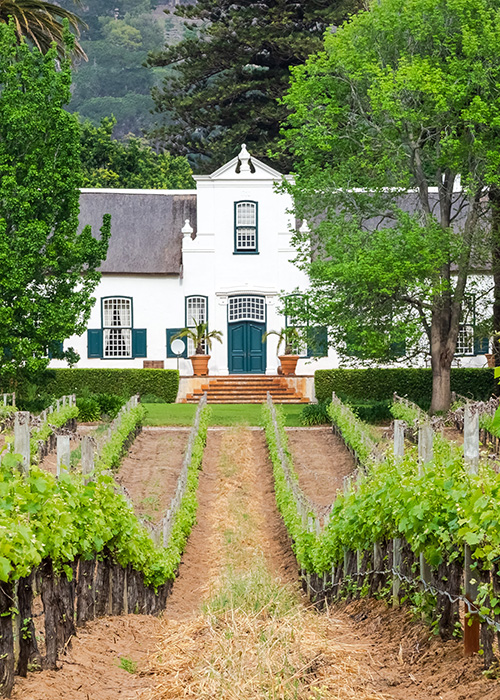 Wineries for Sale
