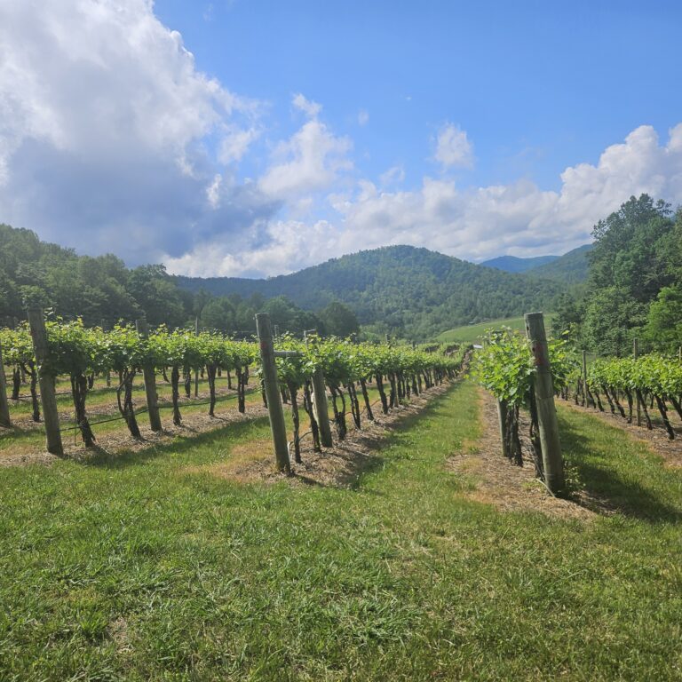 NEW: Incredible Winery Opportunity (Monticello AVA, Virginia)