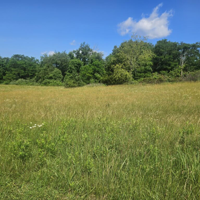 Four scenic land Lots near Lexington, VA (Natural Bridge, VA)